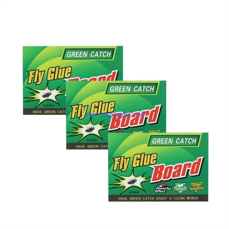 House Fly sticky Paper