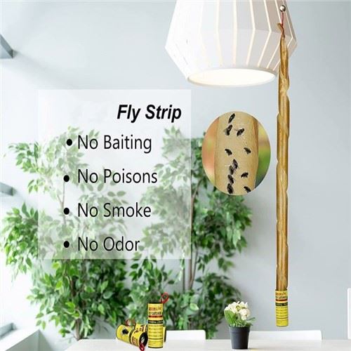Fly Strips za Windows