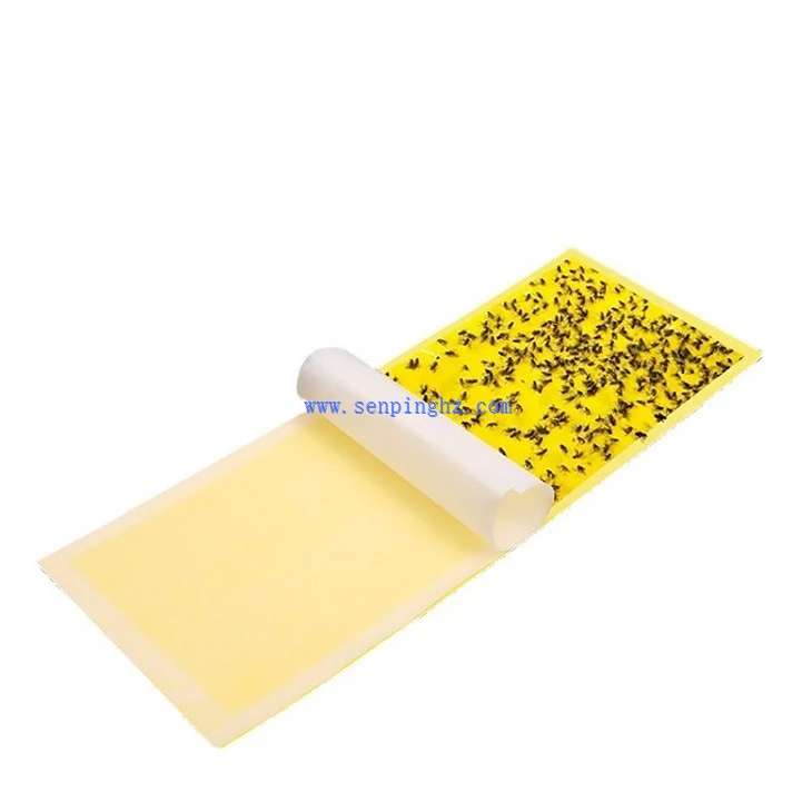 flying insect adhesive board